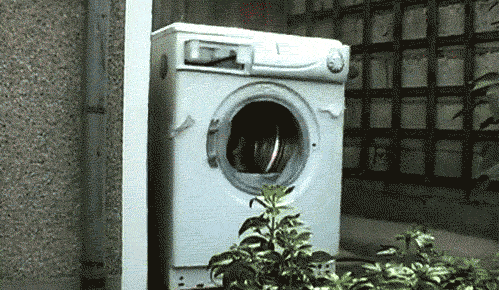 tumblr_lnrux1nXwW1qdqcy0o1_500.gif