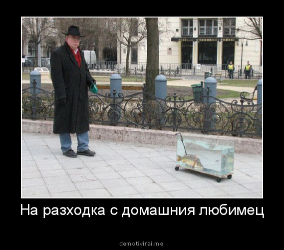 593b7bb3c91244de9c50e5d4f13162d0.jpg