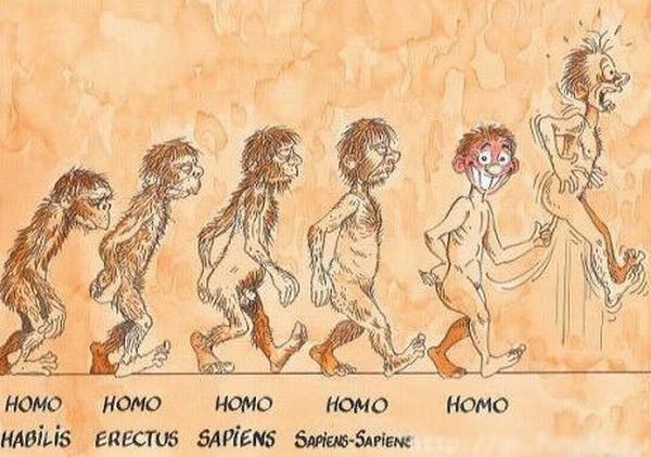 net_Evolucija_.jpg