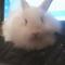 Picture 002.jpg