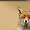 Screenshot.2245.png