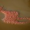 www.nationalgeographic.com__yucatan-gulf-flamingos-c527519-586x370.jpg