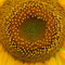 DSC02656.JPG