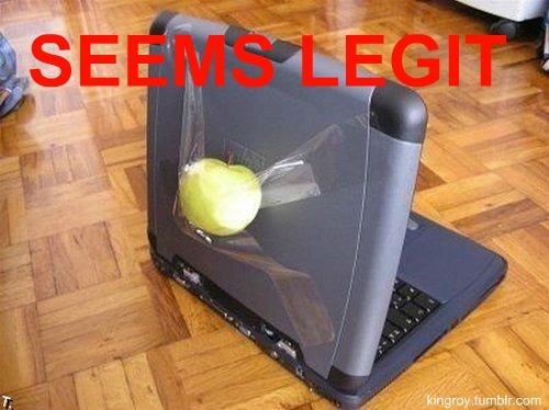 tumblr_lpn5anXVtu1qhroe7o1_500.jpg
