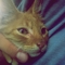 DSC04299.JPG