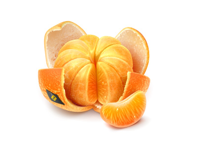shot_1293526888.png
