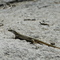 DSC02685.JPG