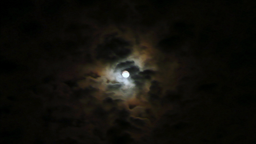P1060746.JPG