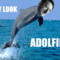 tumblr_lq6n7p894x1r1kmw6o1_500.png