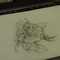 WP_000098.jpg