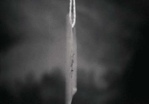 tumblr_lownmp5ttD1qkx3eio1_500.gif