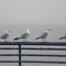 to_each_their_own______by_anaturalbeauty-d45kshv.jpg
