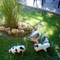 DSC04411.JPG