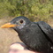 DSC00202.JPG