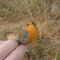 DSC00214.JPG