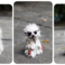 t_r__kiwi_by_santani-d49ze42.png