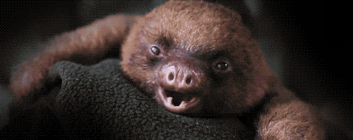 tumblr_lqdmnv8q0o1qzeohd.gif