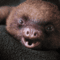 tumblr_lqdmnv8q0o1qzeohd.gif