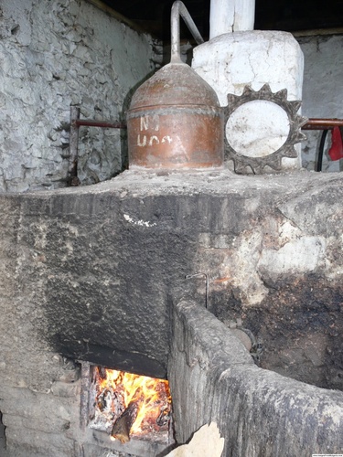 Rakia_Distilling_19.jpg