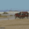 funny-car-photos-never-taking-off-seatbelt-crash-test-dummy.gif