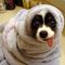 September-21-2011-22-10-36-ratemythisweekstop30funnypics.jpeg
