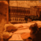 tumblr_ltmo0z8g8G1qmqxn2.gif