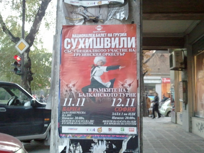 suhishvili_Bqm6J.jpg