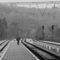 long road.jpg