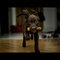 the_dog_by_poisonunic.jpg