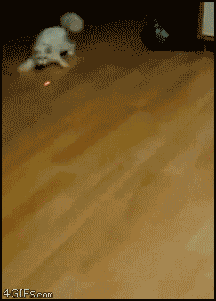 1320962631535.gif