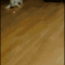 1320962631535.gif
