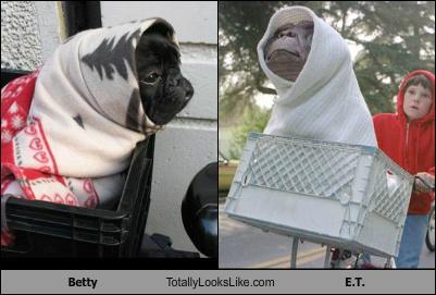 betty-totally-looks-like-e-t.jpg