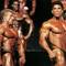 Lou_ferrigno_247.jpg