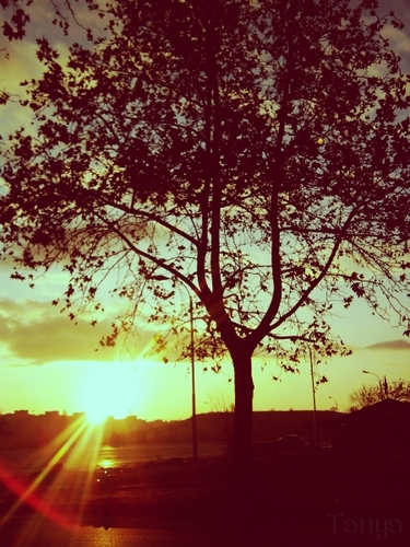tumblr_lv890zML6N1qzvex3o1_500.jpg