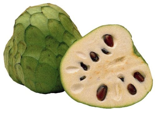 cherimoya2.jpg
