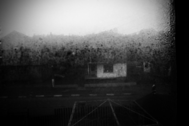 Outside is cold, and rainy, and scary, and... .jpg