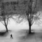 20111219085501.jpg
