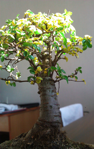 WP_000504.jpg