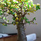 WP_000504.jpg