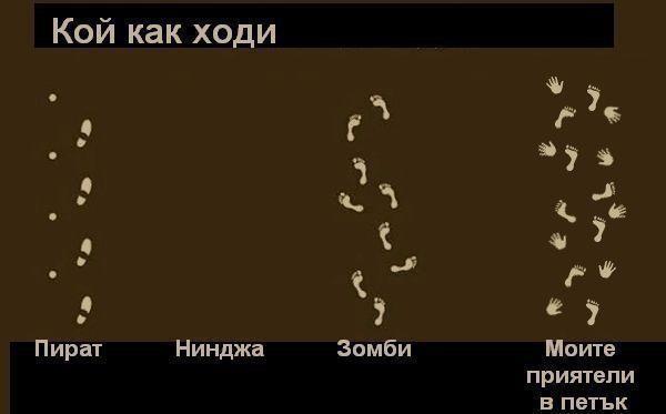 401588_299953460050148_173353532710142_928313_472747853_n.jpg