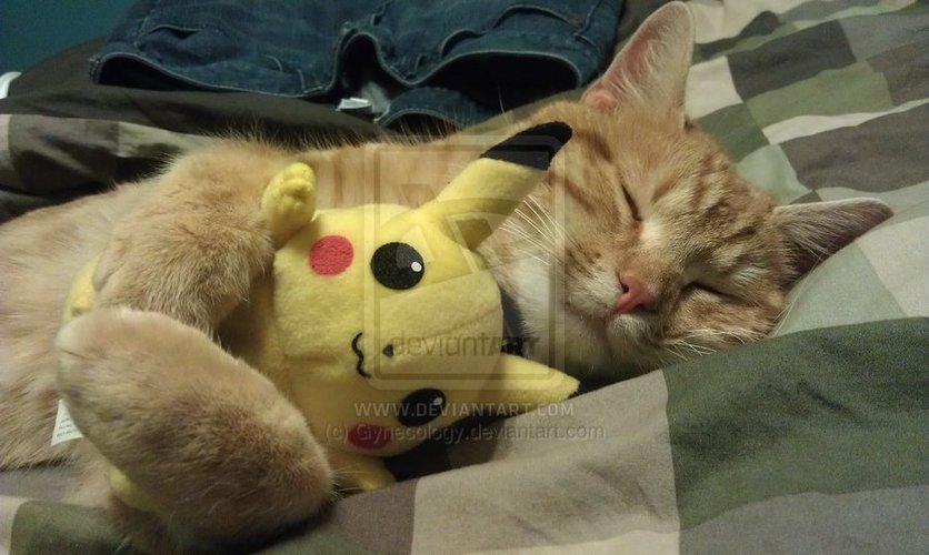 fluffy_hugs_for_pikachu_by_gynecology-d4m7cu2.jpg