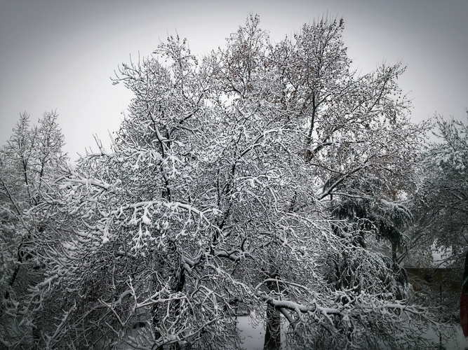 26012012276.jpg