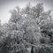 26012012276.jpg