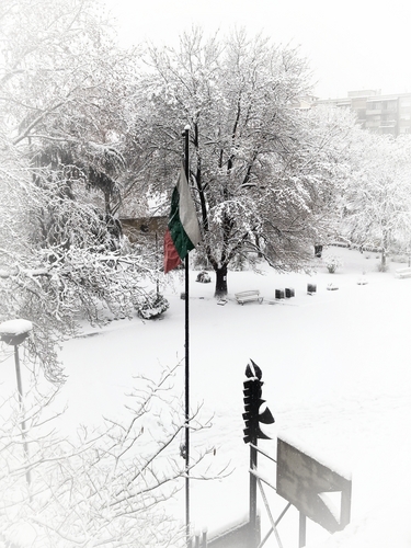 26012012274.jpg