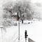 26012012274.jpg