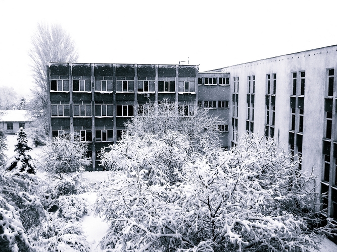 26012012287.jpg