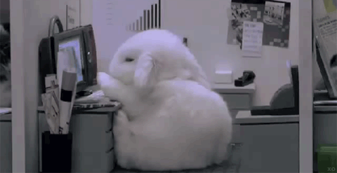 9655_a109.gif
