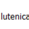 Capture.PNG