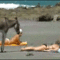 1328449307276.gif