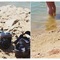 New_180611 057.jpg